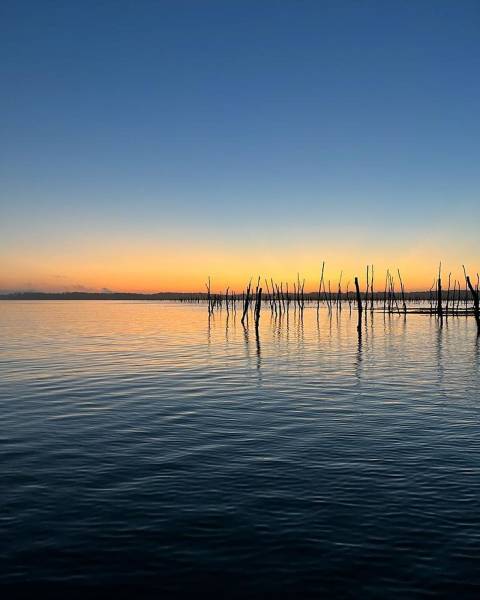 permis cotier rapide sur le bassin d'arcachon près d'andernos